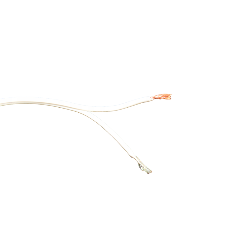 Zasilacz-do-oswietlenia-paski-tasmy-LED-30W-12V-2-5A-2-zyly-Model-F30L2-Photoroom.png