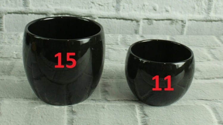 1004845646_4.jpg