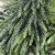 Choinka-w-jucie-srebrny-brokat-H36-DEcodomi-Wysokosc-maksymalna-36-cm.png