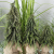 Choinka-w-jucie-ze-zlotym-brokatem-ozdoba-swiateczna-drzewko-H44-DEcodomi-Kod-producenta-134056.png