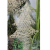 Choinka-zlota-podswietlenie-LED-ozdoba-swiateczna-DEcodomi-Okazja-EAN-GTIN-5902663401635.png
