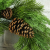 a7b968764b778a0c185eaa5e9a9b.png
