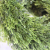 31c20a354de29b51a0ed9a1ea862.png
