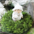 1519ed684e20854a7b8b6631e42d.png