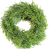 c2dffda248eebb1518bf8684da6d-Photoroom.png