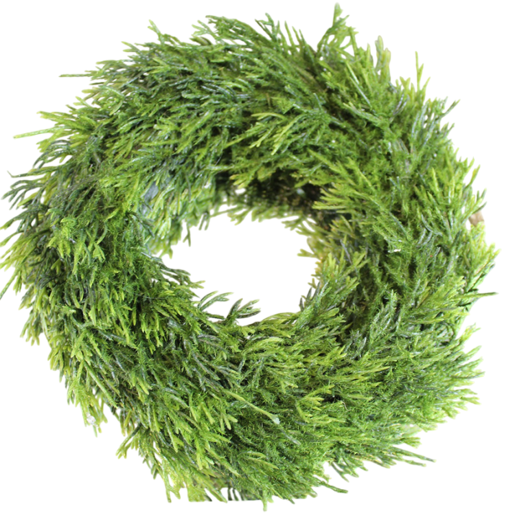 c2dffda248eebb1518bf8684da6d-Photoroom.png
