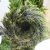 a7956cbc4341940764b668e9312b.png