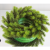 2f5a675449a7ba0620cd0700c468.png