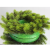 ea54036c47a3bbaabf76e051ecd4.png