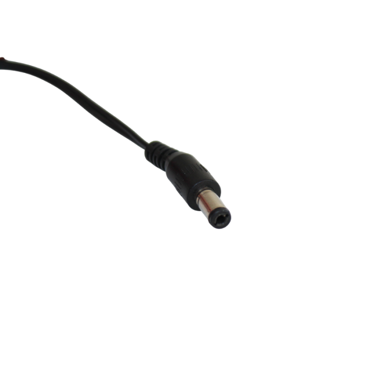 Zasilacz Ładowarka do odkurzacza DC 31V 0.5A 15.5W 5.5/2.1 CZH015310050EUWPL.png