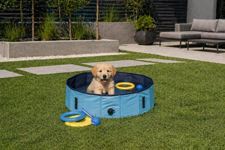 Trixie Basen dla psa 70x12cm kolor niebieski.jpg