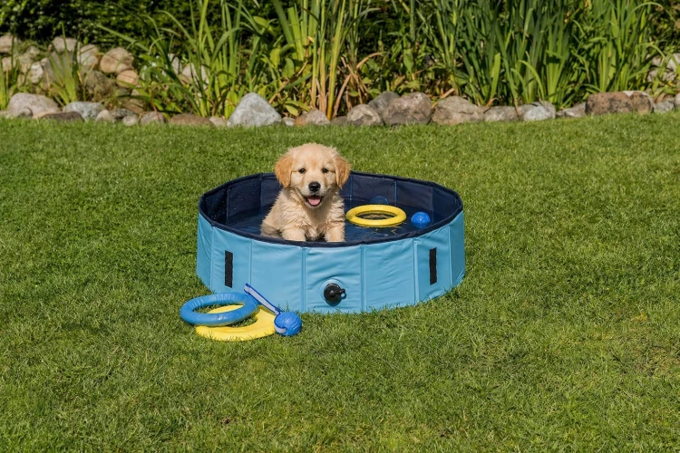 Trixie Basen dla psa 70x12cm kolor niebieski.jpg