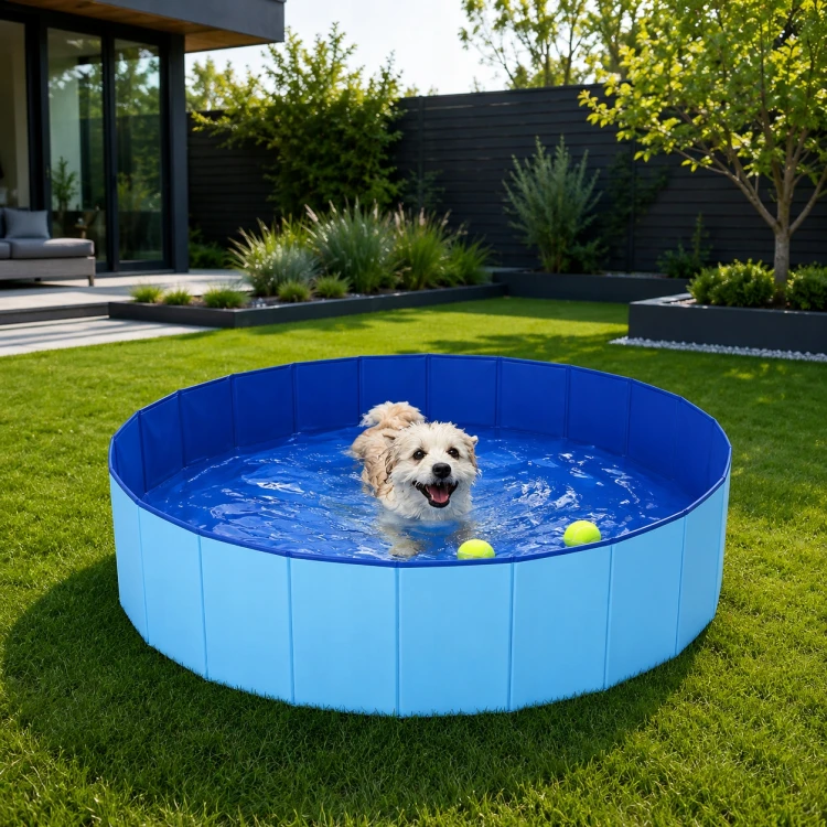 e950831f8174b67dcb1cd5ceda6355a2.jpg