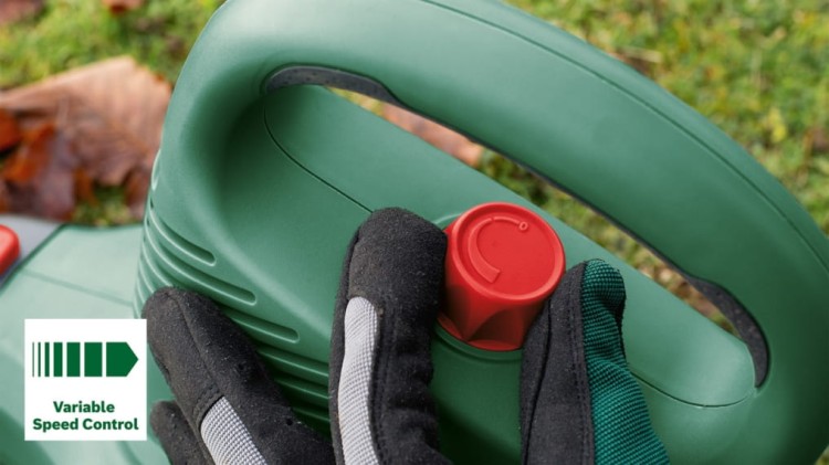 a4d9422601742b127021e3d285abddb1.jpg