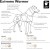 f7eca63f55a053d8273e5022990b5dd8.jpg