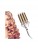 b90e20c571dbddc38d5a2f17ff2eb1e2.jpg